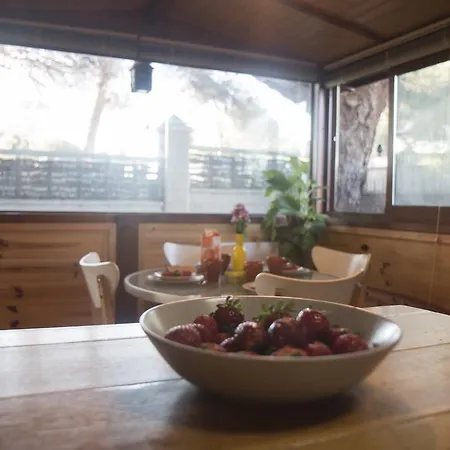 Ferienhaus Wood House Close Marbella